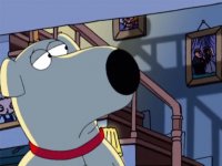 Terapia da incontinenza Terapia da incontinenza