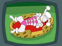 Non svegliare il can che dorme Non svegliare il can che dorme